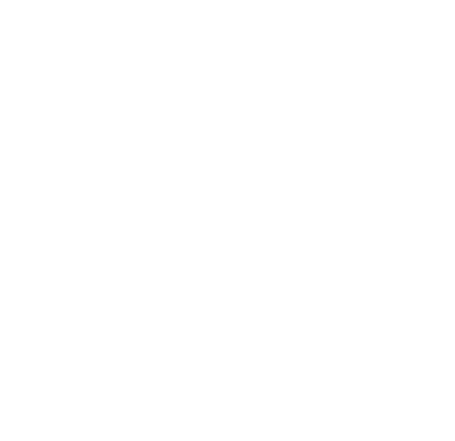 CDT Logo