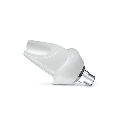 Hybrid Abutments